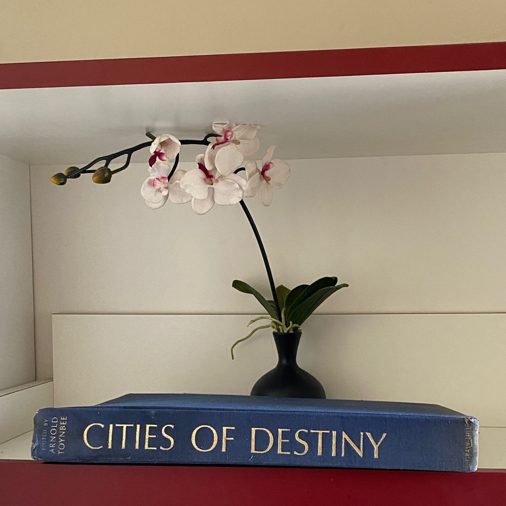 Cities Of Destiny 542 Illustrations, 385 Photos Drawings Plans and Diagrams Book